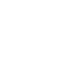 SDT